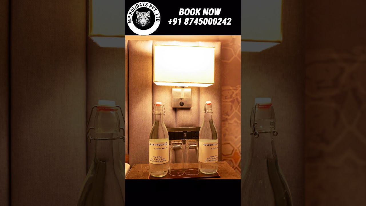 MP Holidays | Best DMC Madhya Pradesh