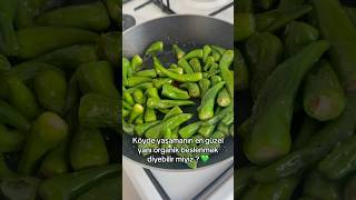 Ne Düşünüyorsunuz ?