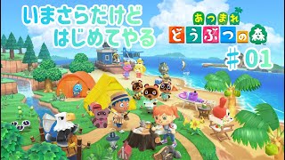 【あつ森】はじめての島暮らし【くらまたぬ】