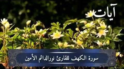 سورة الكهف كاملة 🎤الشيخ نورالدائم الأمين
