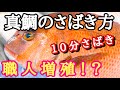 鯛のさばき方【真鯛】How to filet Red Sea Bream ゼロから分かるさばき方