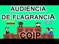 Audiencia de calificacion de  flagracia y formulacion de cargos  COIP Ecuador