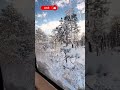 ❄️ You stepped into a snow globe. 🔮