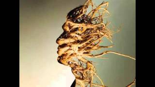 Antonio Mora with "Remembering" by Avishai Cohen Trio & Ensemble