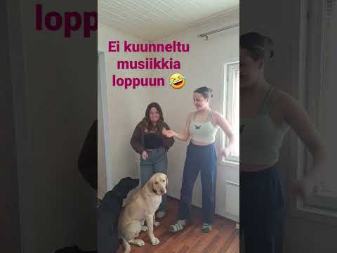 Video: Mikä on Littlest Dog?