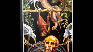 On the Origin of Species by Charles Darwin Summary