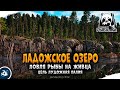 Русская Рыбалка 4 — Стрим. Ладожское озеро. Палия Лудожная.