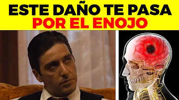 ¿Qué ocurre en el cerebro cuando uno se enfada?