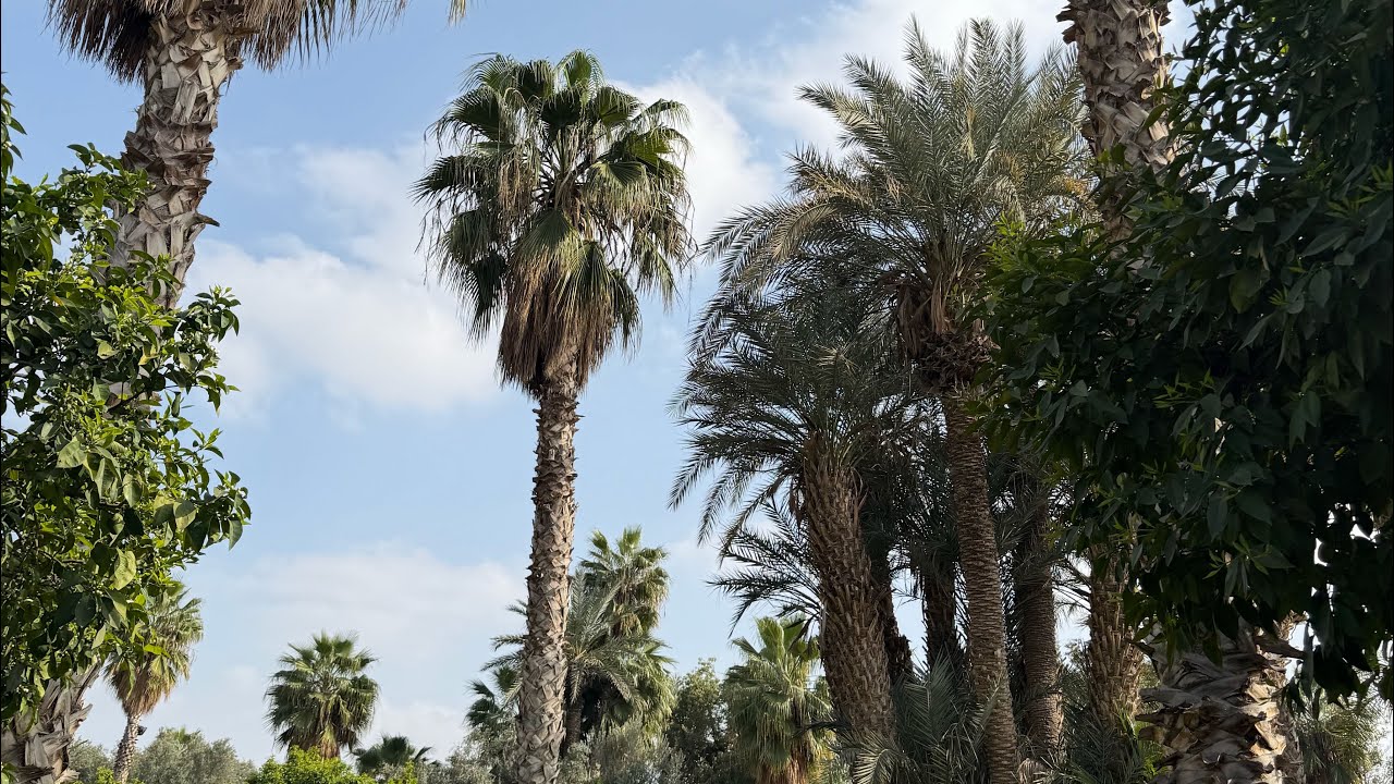 Prima aventura din Marrakech | TheAdventurePulse