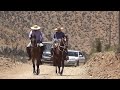 Rodeo de burros en Canelilla