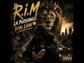 R.i.M - La Puissance D'Un Lion 🦁
