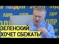 Новое заявление Жириновского об Украине ОШАРАШИЛО своим прогнозом