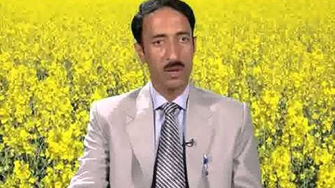 Taxonomy and diversity of Ranunculaceae