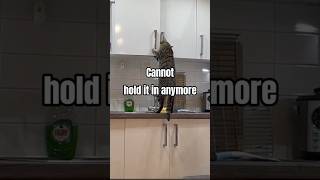 Im Trying To Hold It In, But Im Hungry