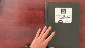 How to set up your interactive notebook