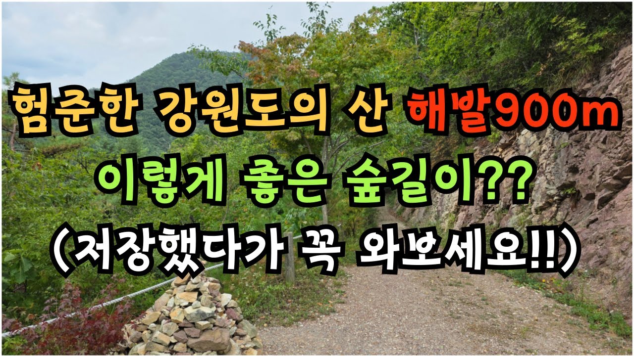 험준한 강원도의 산 해발900m에 이렇게 좋은 숲길이?? / (저장했다가 꼭 와보세요) / 초보등산