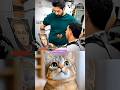 BOMBASTIC FACE MASK 😽 #shorts #cat #trending #funny #viral