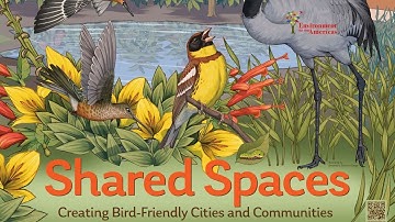 Creating Bird-Friendly Cities and Communities - Webinar - World Migratory Bird Day 2025