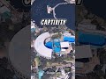 The Most Controversial Theme Park In The World #seaworld... #Shorts #topusahotels1