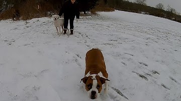 Dji Phantom 2 Vision Plus Video Quality Demonstration