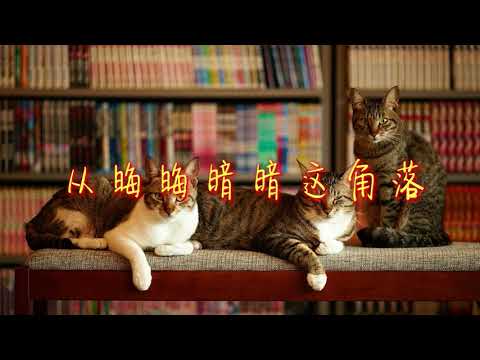 你的淺笑