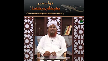 Khwab Main Chipkali (Lizard) Dekhny Ki Tabeer Urdu/Hindi | Khwab He Khwab