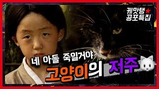 [케맛탱★전설의고향] '네 아들 죽일거야' 고양이의 저주 🐱 ㅣ KBS방송