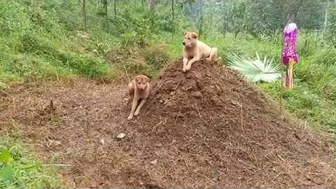 Tết Thanh Minh Mùng 3 Tháng 3 Đi Tảo Mộ Phong Tục Tập Quán Của Người Dân Tộc