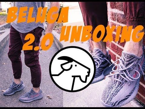 goat beluga 2.0