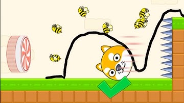 Save The Doge Speedrun Gameplay Level 31