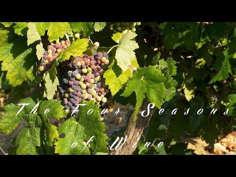 The Four Seasons Of Wine 2018