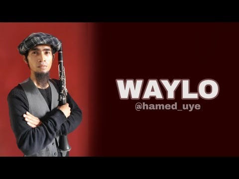 Waylo najwa farooq (cover)