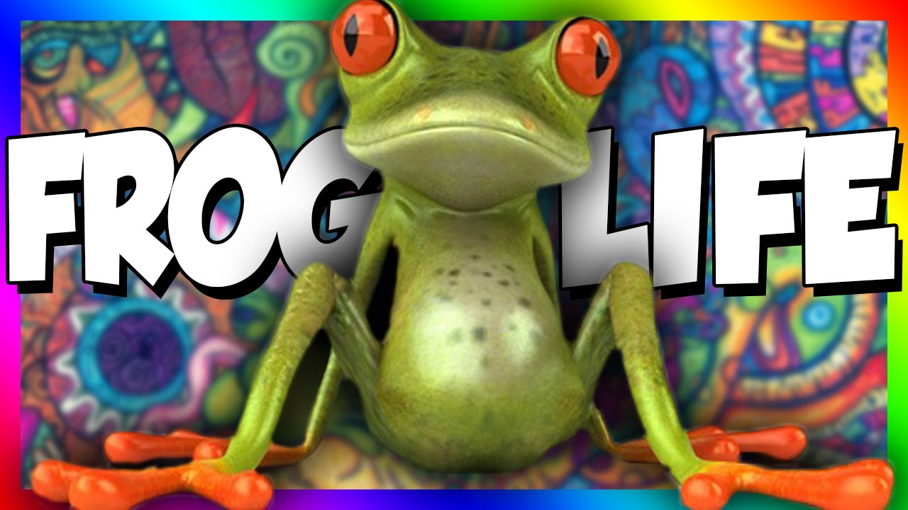 Включи канал frog. Лягушка ПЕРДУШКА. Игра лягушка ПЕРДУШКА. Картинки amazing Frog. Зёленая жаба ПЕРДУШКА.