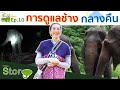 The Chang Story EP.10 การดูแลช้างในช่วงเวลากลางคืน ที่ ปางช้างแม่สา l The chang channel