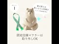 かわいい！ファン急増中♪SNSで大人気の貯金箱2023年限定版 【クローネ　しろくま貯金箱】雑貨屋巡り　福岡県　糸島　周船寺駅近く