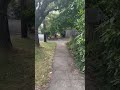 Love my neighborhood walks!      #tiktok #realestate #home #portland #oregon #garden #gardening