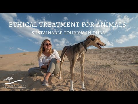 Ethical Treatment for Animals - Sustainable Tourism in Dubai