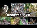 The Top Ten BIGGEST Bucks from Whitetail Cribs