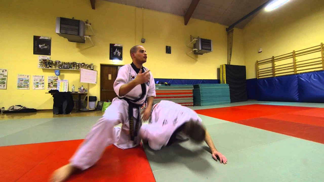 Hapkido - Yeon Haeng Sul - Stage Seon Bi Kwan - Jonathan Réga