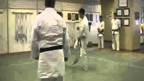 Uechi Ryu Karate - Do - Jiyu Kumite - Part III - William Kucinski V.S. Katrina Krise
