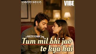 Download Lagu Tum Mil Bhi Jao to Kya Hai MP3