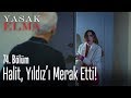 Halit, Yıldız'ı merak ediyor... - Yasak Elma 74. Bölüm