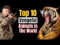 World's Terrifying Top 10 Vengeful Animals Taking Revenge on Humans