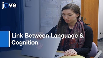 Tuning Link: Language & Cognition:6-7 Month-Old Infants Object Categorization l Protocol Preview