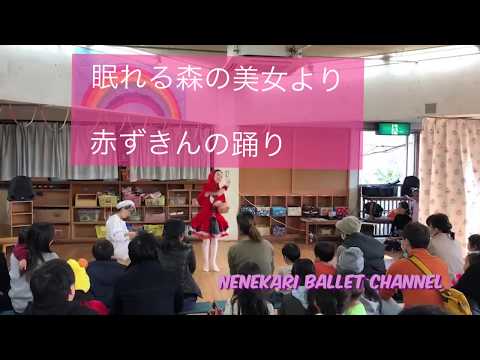 【ネネカリチャンネル】バレエ眠れる森の美女より赤ずきんの踊り