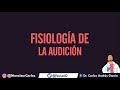 Fisiología de la Audición - ¿Cómo escuchamos y logramos diferenciar un sonido de otro?