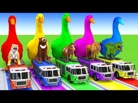 5 Giant Duck Cartoon,Cow,Elephant,Tiger,Dinosaur,Paint Wild Animals Crossing Fountain Animation #673