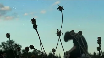 Days to Waste | when the summer ends (Official Music Video) Days to Waste | when the summer ends (Official Music Video)