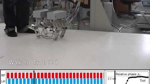 Walk to trot transition.mpg