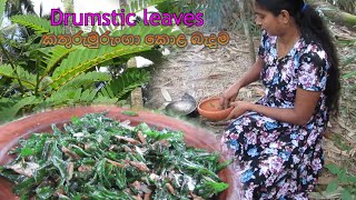 Drumstick Leaves fry recipe | කතුරුමුරුංගා කොළ බැදුම | kathuru murunga kola baduma | murunga recipe